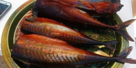 Koliko kalorija ima toplo dimljena skuša